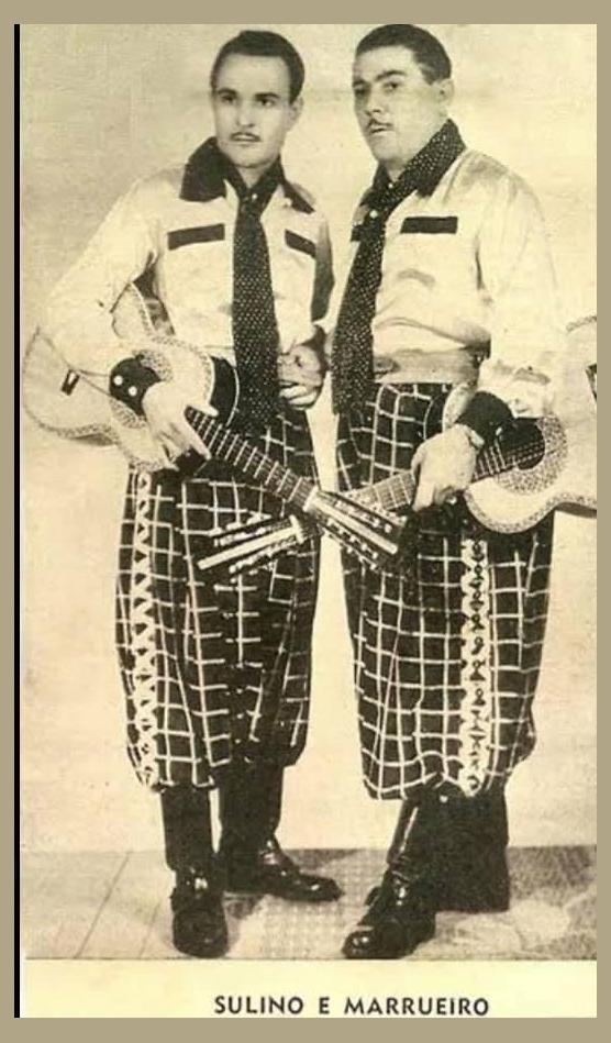 Sulino e Marrueiro